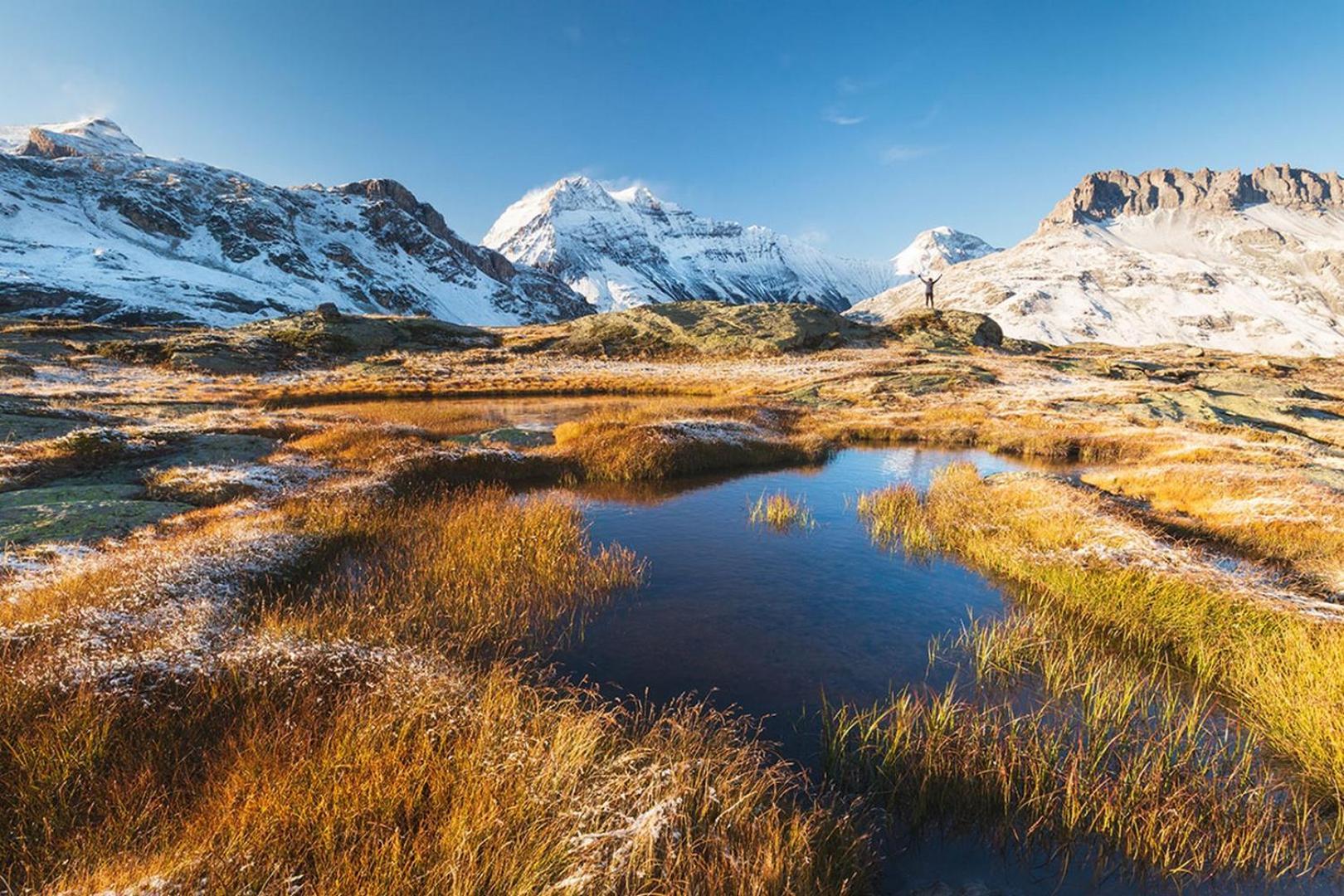 Grepon 2 - A Alpine Haven * Chamonix Mont Blanc